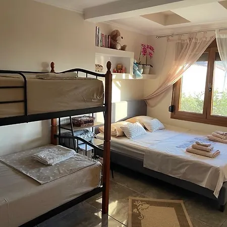 Islandtime Studio2 * Принос